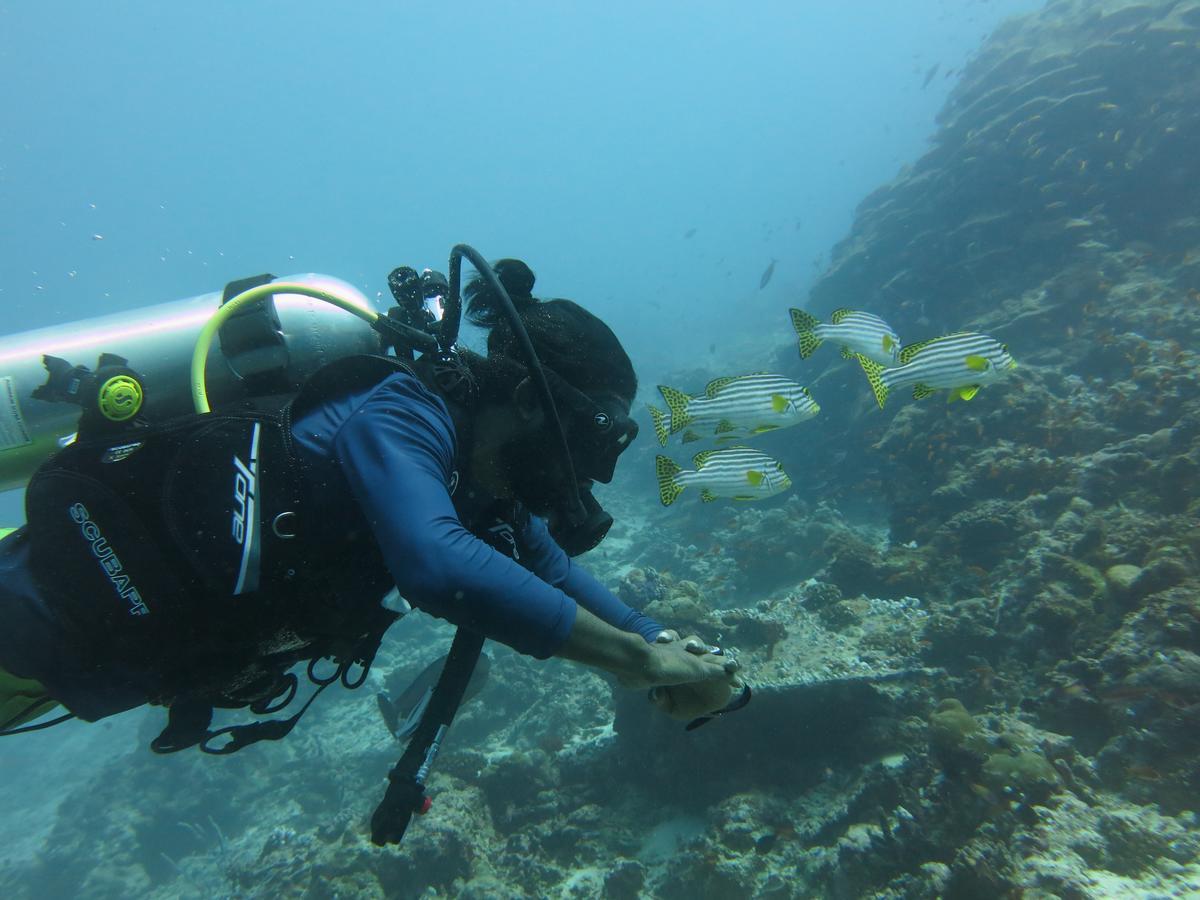 Rasdhoo Dive Lodge Exterior photo