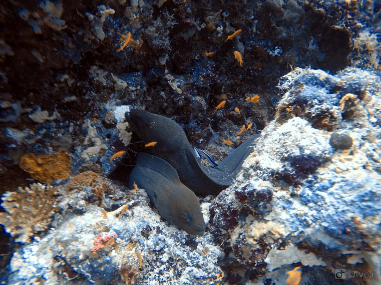 Rasdhoo Dive Lodge Exterior photo