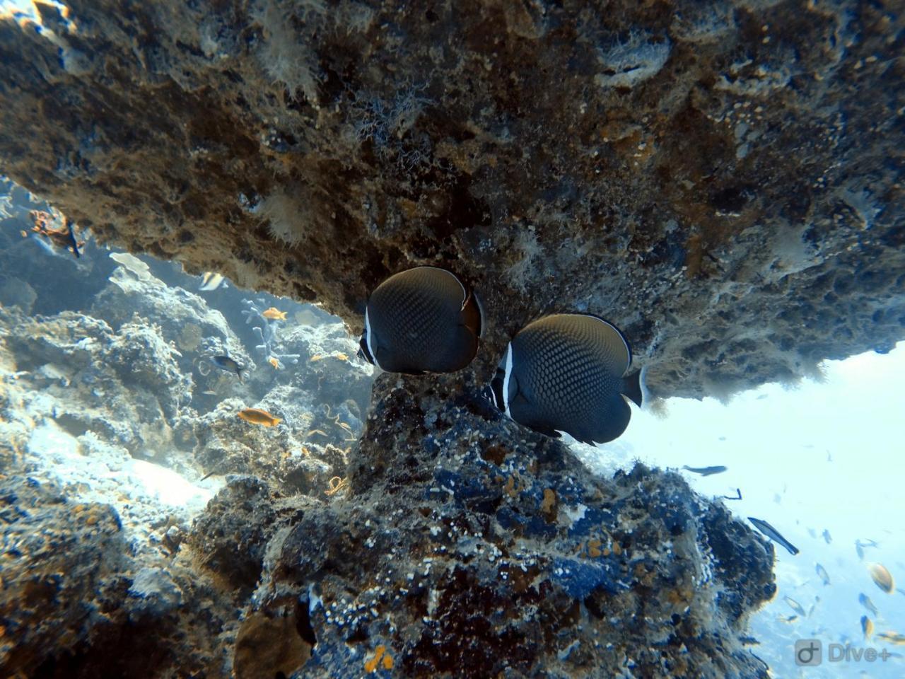 Rasdhoo Dive Lodge Exterior photo