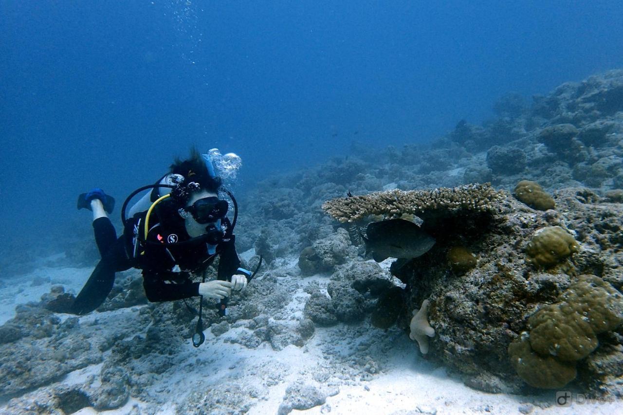 Rasdhoo Dive Lodge Exterior photo